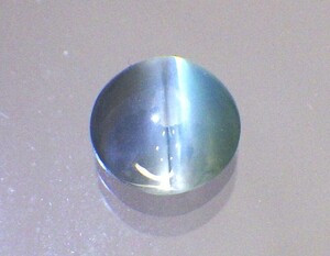 RIMG2525.JPG