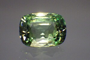 RIMG4091.JPG