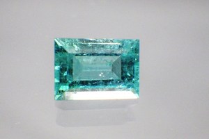 RIMG5600.JPG