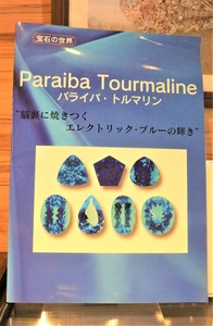 RIMG7689 (3).JPG