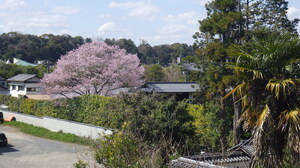 RIMG8904.JPG